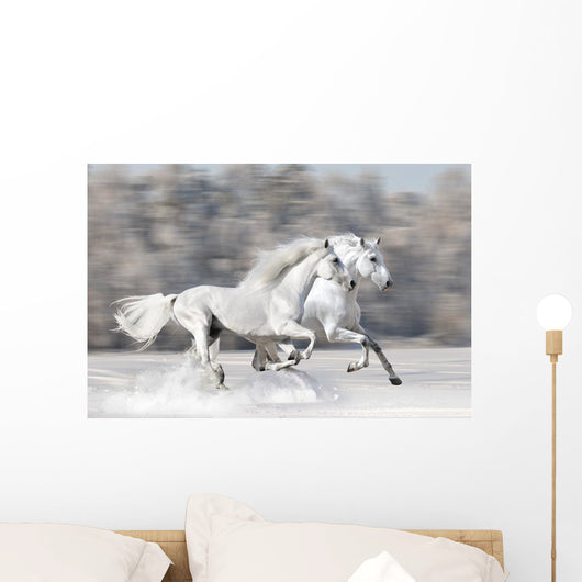 Two White Horses Winter