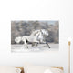 Two White Horses Winter