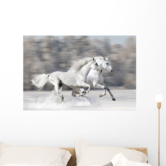 Two White Horses Winter