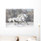 Two White Horses Winter