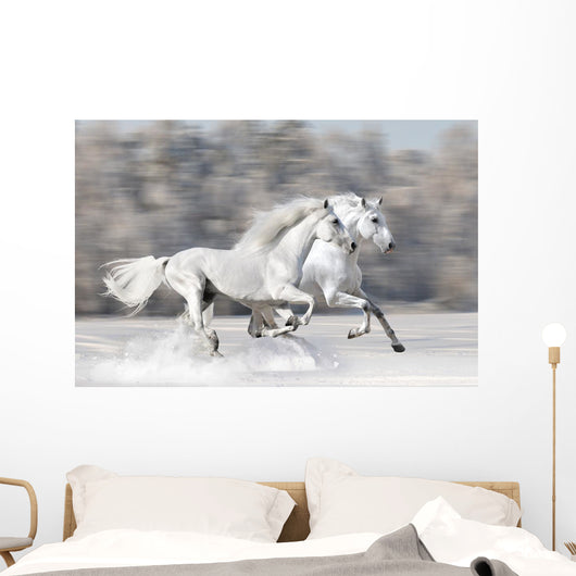 Two White Horses Winter