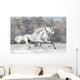 Two White Horses Winter