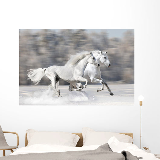 Two White Horses Winter
