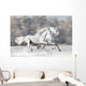 Two White Horses Winter
