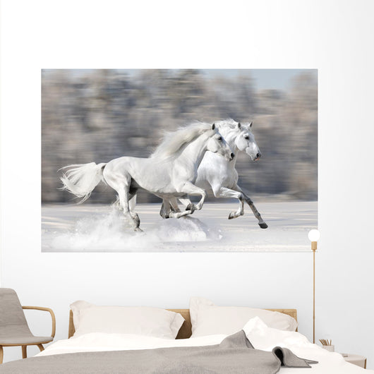 Two White Horses Winter