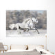 Two White Horses Winter