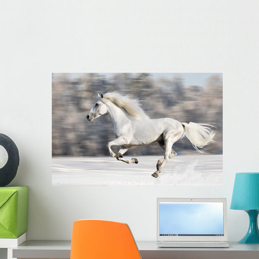 White Horse Runs Gallop in Winter Wall Mural