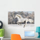 White Horse Runs Gallop in Winter Wall Mural