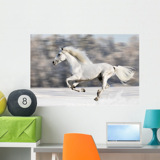 White Horse Runs Gallop in Winter Wall Mural