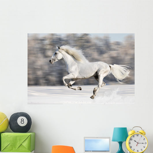 White Horse Runs Gallop in Winter Wall Mural