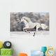 White Horse Runs Gallop in Winter Wall Mural