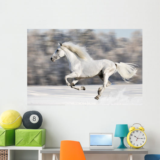White Horse Runs Gallop in Winter Wall Mural