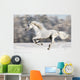 White Horse Runs Gallop in Winter Wall Mural