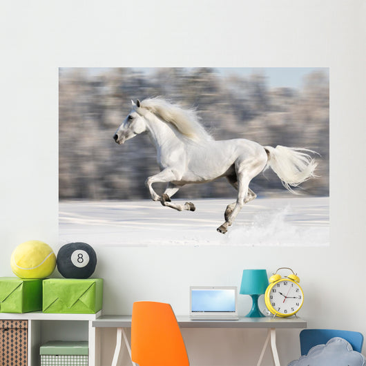 White Horse Runs Gallop in Winter Wall Mural