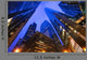 Looking up Chicago's Skyscrapers