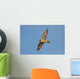 Peregrine Falcon in Flight Wall Mural