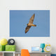 Peregrine Falcon in Flight Wall Mural
