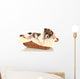 Beautiful Little Puppy Sleeping Wall Decal