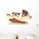 Beautiful Little Puppy Sleeping Wall Decal