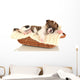 Beautiful Little Puppy Sleeping Wall Decal