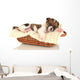 Beautiful Little Puppy Sleeping Wall Decal
