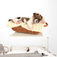 Beautiful Little Puppy Sleeping Wall Decal