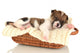 Beautiful Little Puppy Sleeping Wall Decal
