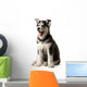 Adorable black and white with blue eyes Husky puppy Wall Decal