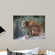 Brown Bear Wall Mural