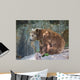 Brown Bear Wall Mural