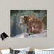 Brown Bear Wall Mural