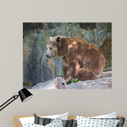 Brown Bear Wall Mural