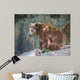 Brown Bear Wall Mural