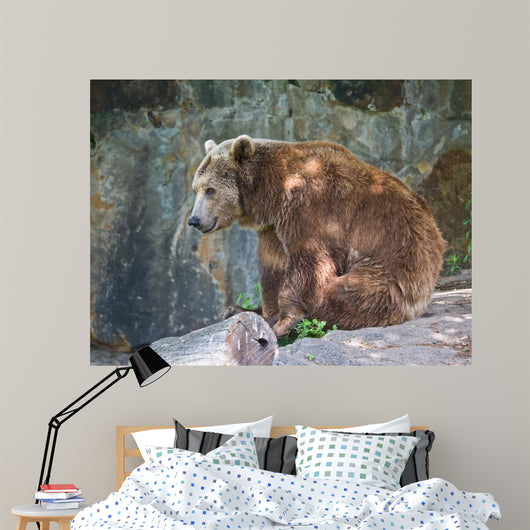Brown Bear Wall Mural