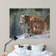 Brown Bear Wall Mural
