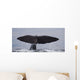 Sperm Whale Shot Kaikoura Wall Mural