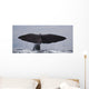 Sperm Whale Shot Kaikoura Wall Mural
