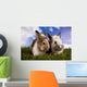 Spring Baby Bunny and