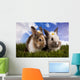 Spring Baby Bunny and