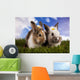 Spring Baby Bunny and