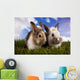 Spring Baby Bunny and