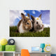 Spring Baby Bunny and