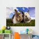 Spring Baby Bunny and