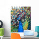 Beautiful colourful preening peacock Wall Mural