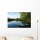 Mirror Lake Wall Mural