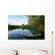 Mirror Lake Wall Mural