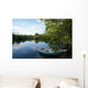 Mirror Lake Wall Mural