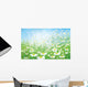 Vector Spring with White