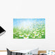 Vector Spring with White
