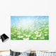 Vector Spring with White